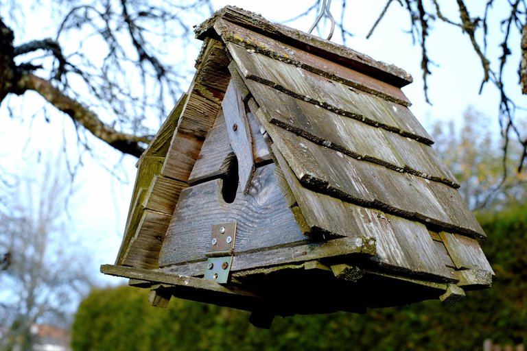 Gartenhaus.jpg 