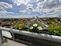 Ausblick_www.villingen.immobilien